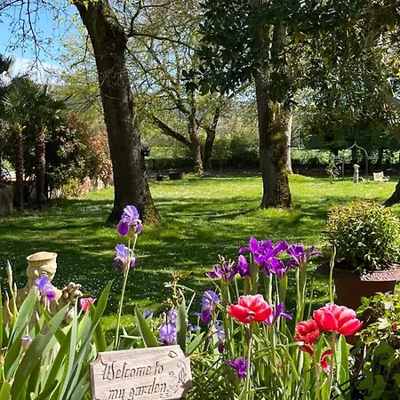 Le Bouquet Bleu Bed & Breakfast Siorac-en-Perigord